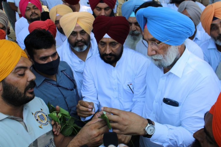 ਮੁੱਖ ਮੰਤਰੀ ਨੇ ਗੁਲਾਬੀ ਸੁੰਡੀ ਤੋਂ ਪ੍ਰਭਾਵਿਤ ਖੇਤਾਂ ਦਾ ਲਿਆ ਜਾਇਜ਼ਾ