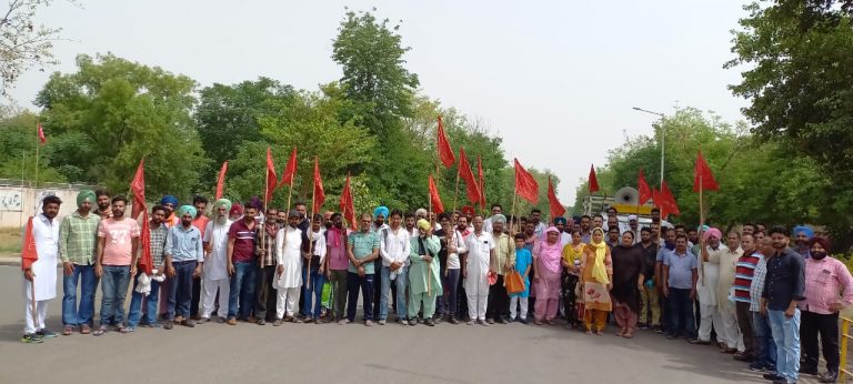 15 ਦੀ ਸੂਬਾ ਪੱਧਰੀ ਰੈਲੀ ਵਿੱਚ ਥਰਮਲ ਦੇ ਠੇਕਾ ਮੁਲਾਜ਼ਮ ਵੱਡੀ ਗਿਣਤੀ ਵਿੱਚ ਹੋਣਗੇ ਸ਼ਾਮਿਲ:-ਜਗਰੂਪ ਸਿੰਘ