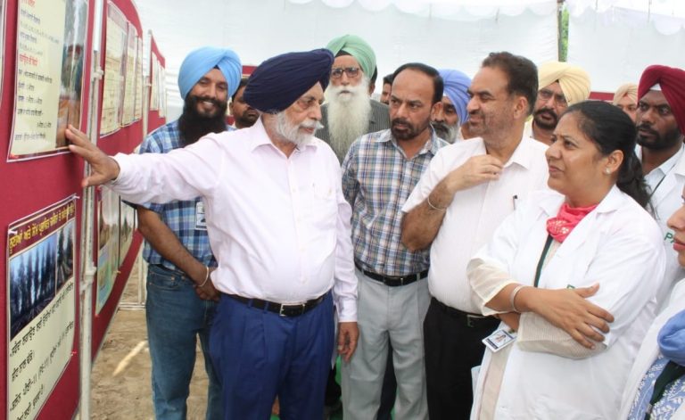 ਕਿਸਾਨ ਪੀਏਯੂ ਦੀਆਂ ਸਿਫ਼ਾਰਸ਼ ਕੀਤੀਆਂ ਕਿਸਮਾਂ ਵਿੱਚ ਹੀ ਭਰੋਸਾ ਰੱਖਣ