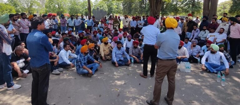 ਖੇਤੀਬਾੜੀ ਵਿਕਾਸ ਅਫਸਰਾਂ ਵੱਲੋ ਸਰਕਾਰ ਦੇ ਪੱਖਪਾਤੀ ਰਵੱਈਆ ਦਾ ਵਿਰੋਧ