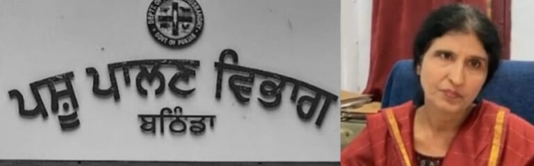 ਘੋੜਿਆ ਵਿੱਚ ਲਾਇਲਾਜ ਬਿਮਾਰੀ ਗਲੈਂਡਰਜ ਨੇ ਦਿੱਤੀ ਦਸਤਕ 