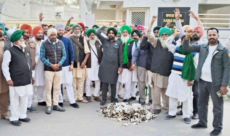 ਕਿਸਾਨ ਯੂਨੀਅਨ ਲੱਖੋਵਾਲ ਵੱਲੋਂ ਨਰਮਾ ਸਾੜ ਕੇ ਸੀਸੀਆਈ ਦਫ਼ਤਰ ਦੇ ਬਾਹਰ ਰੋਸ ਪ੍ਰਦਰਸ਼ਨ