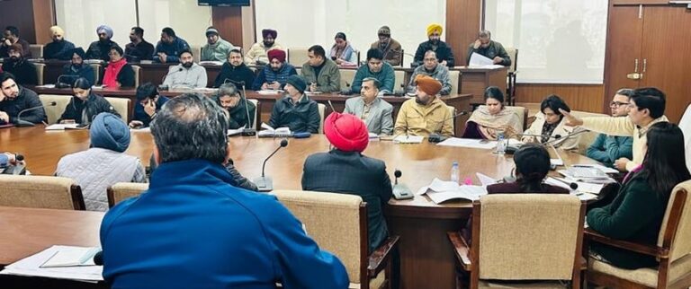 ਚੱਲ ਰਹੇ ਵਿਕਾਸ ਕਾਰਜਾਂ ਨੂੰ ਜਲਦ ਕੀਤਾ ਜਾਵੇ ਮੁਕੰਮਲ : ਡਿਪਟੀ ਕਮਿਸ਼ਨਰ