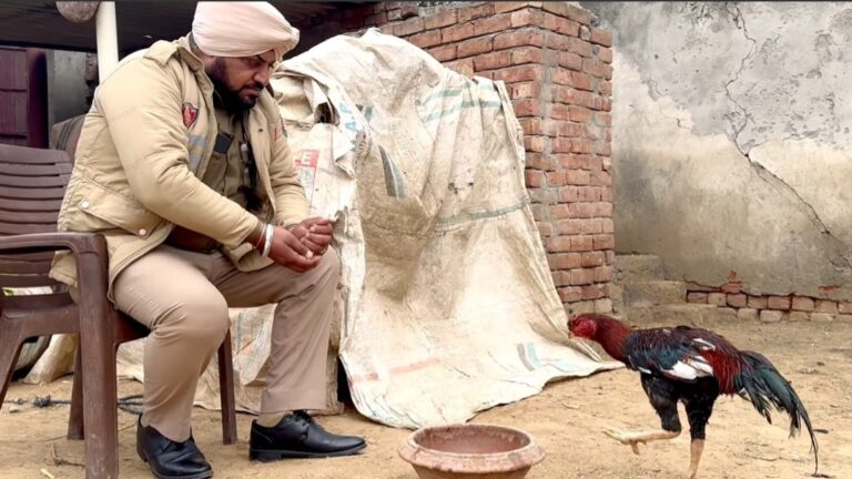 ਓਏ ਛੋਟੂ, ਦੇਖ ਪੰਜਾਬ ਪੁਲਿਸ ‘ਮੁਰਗੇ’ ਦੀ ਸੇਵਾ ਵੀ ਕਰਦੀ ਹੈ !