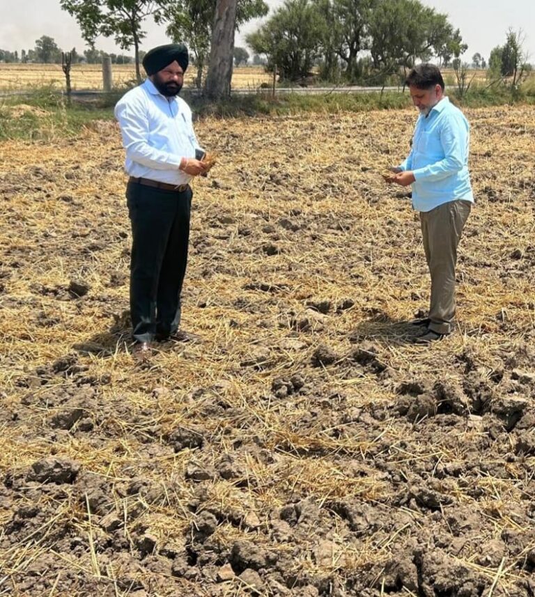 ਖੇਤੀਬਾੜੀ ਵਿਭਾਗ ਦੇ ਅਧਿਕਾਰੀਆਂ ਵਲੋਂ ਨਰਮੇਂ ਦੀ ਬਿਜਾਈ ਦਾ ਕੀਤਾ ਨਿਰੀਖਣ