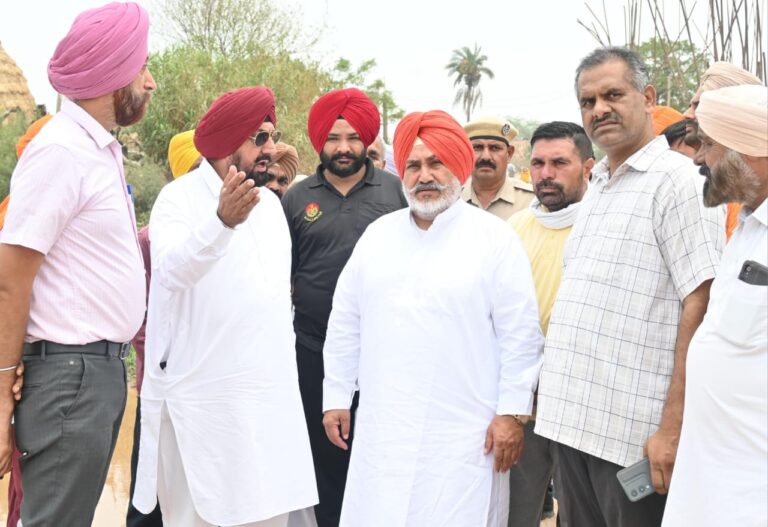 ਜਲ ਸਰੋਤ ਮੰਤਰੀ ਚੇਤਨ ਸਿੰਘ ਜੌੜਾਮਾਜਰਾ ਵੱਲੋਂ ਡੇਰਾ ਬੱਸੀ ਦਾ ਦੌਰਾ