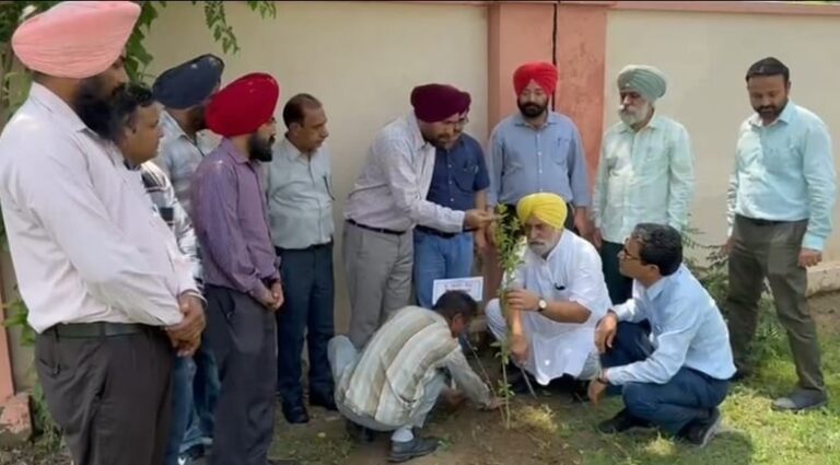 ਪੀਐਸਪੀਸੀਐਲ ਦੇ ਬਾਰਡਰ ਜ਼ੋਨ ਵੱਲੋਂ ਵਿਸ਼ਾਲ ਰੁੱਖ ਲਗਾਉਣ ਦੀ ਮੁਹਿੰਮ ਦੀ ਸ਼ੁਰੂਆਤ