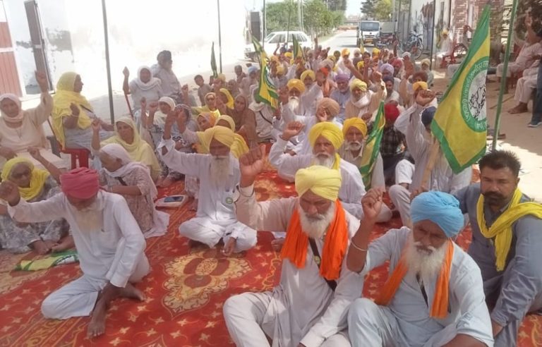 ਝੋਨੇ ਦੀ ਖ਼ਰੀਦ ਲਈ ਕਿਸਾਨ ਜਥੇਬੰਦੀ ਉਗਰਾਹਾ ਵੱਲੋਂ ਆਪ ਵਿਧਾਇਕਾਂ ਤੇ ਭਾਜਪਾ ਆਗੂਆਂ ਦੇ ਘਰਾਂ ਅੱਗੇ ਧਰਨੇ ਸ਼ੁਰੂ