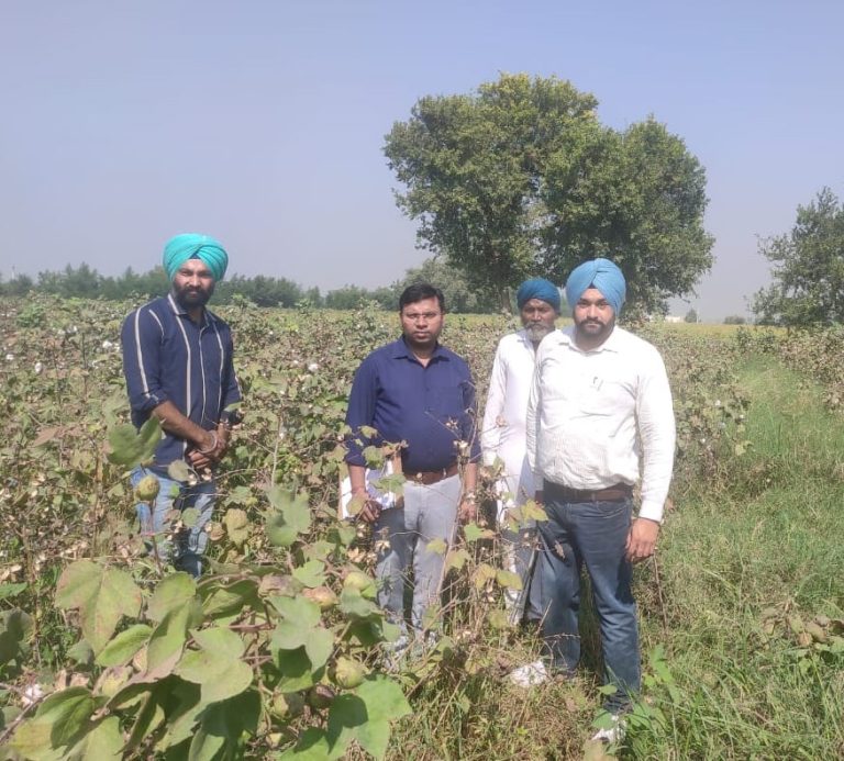 ਕੇਦਰੀ ਟੀਮ ਵੱਲੋ ਜਿਲਾ ਫਾਜ਼ਿਲਕਾ ਦੇ ਨਰਮੇ ਅਤੇ ਝੋਨੇ ਦੇ ਖੇਤਾਂ ਦਾ ਕੀਤਾ ਗਿਆ ਵਿਸ਼ੇਸ਼ ਦੌਰਾ
