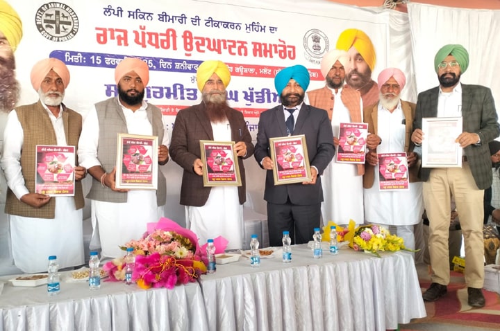 ਪੰਜਾਬ ਵਿੱਚ ਲੰਪੀ ਸਕਿੱਨ ਬਿਮਾਰੀ ਤੋਂ ਬਚਾਅ ਲਈ ਵਿਆਪਕ ਟੀਕਾਕਰਨ ਮੁਹਿੰਮ ਦੀ ਹੋਈ ਸ਼ੁਰੂਆਤ