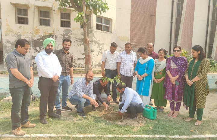 DAV COLLEGE ਵਿਖੇ ਰੁੱਖ ਲਗਾਉਣ ਦੀ ਮੁਹਿੰਮ ਦਾ ਕੀਤਾ ਆਯੋਜਨ
