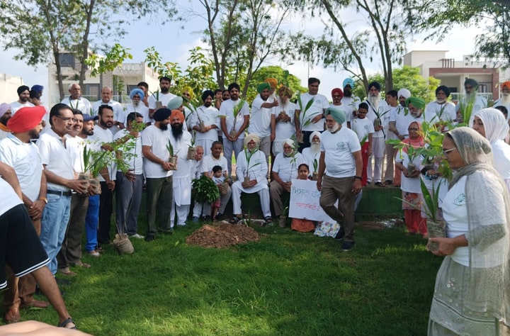 ਸੁਸ਼ਾਂਤ ਸਿਟੀ-2 ਬਠਿੰਡਾ ਵੱਲੋਂ ਕਲੋਨੀ ਨੂੰ ਹਰਿਆ ਭਰਿਆ ਬਣਾਉਣ ਲਈ ਚਲਾਈ ਮੁਹਿੰਮ