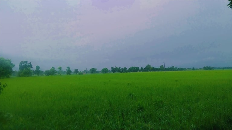 ਭਾਦੋਂ ਦੇ ਝੜੀ ਨੇ ਲੋਕਾਂ ਨੂੰ ਘਰਾਂ ਅੰਦਰ ਤਾੜਿਆ, ਮੀਂਹ ਕਾਰਨ ਜਨ ਜੀਵਨ ਅਸਥ ਵਿਅਸਤ