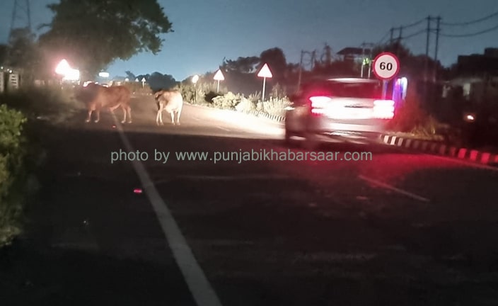 Ring Road-1 Bathinda; ਸੜਕ ਬਣਾਉਣ ਤੋਂ ਬਾਅਦ ‘ਲਾਈਟਾਂ’ ਲਗਾਉਣੀਆਂ ਭੁੱਲਿਆ ਲੋਕ ਨਿਰਮਾਣ ਵਿਭਾਗ