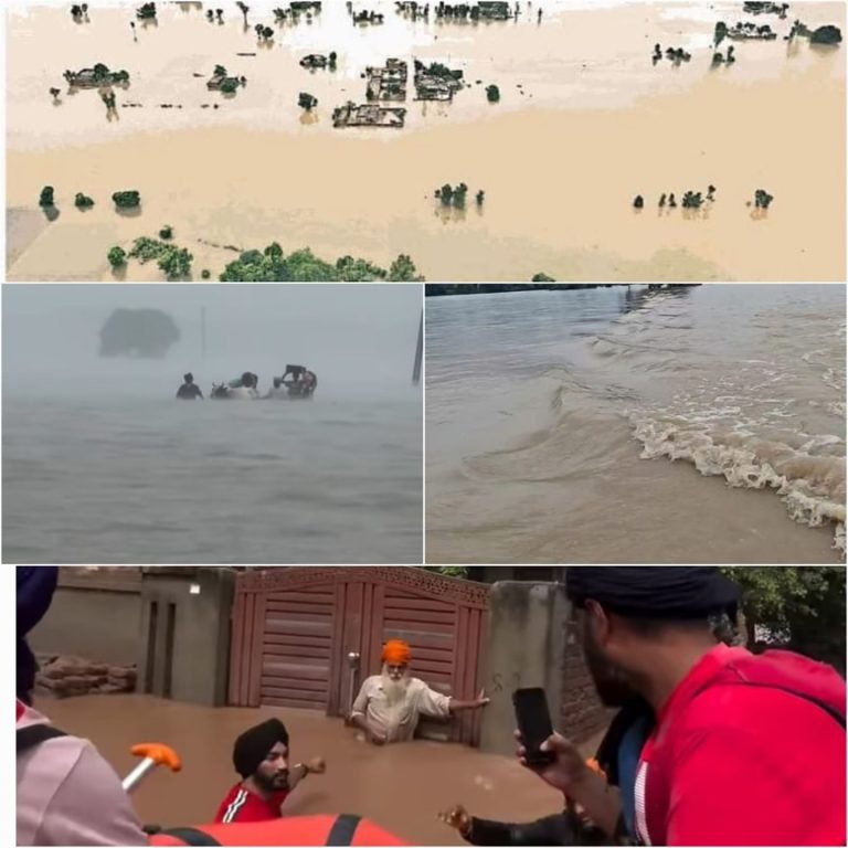 Punjab Flood News; ਹੜ੍ਹਾਂ ਕਾਰਨ ਪੰਜਾਬ ਭਿਆਨਕ ਸਥਿਤੀ ਵੱਲ; ਸਰਕਾਰ ਨੇ ਸੂਬੇ ਨੂੰ ਆਫ਼ਤ ਪ੍ਰਭਾਵਿਤ ਐਲਾਨਿਆ