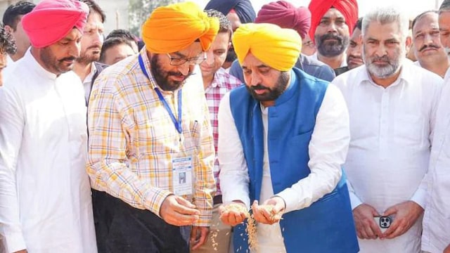 ਮਾਨ ਸਰਕਾਰ ਦਾ ਕਮਾਲ! 150 ਲੱਖ ਮੀਟ੍ਰਿਕ ਟਨ ਝੋਨੇ ਦੀ ਖਰੀਦ ਦਾ ਇਤਿਹਾਸਕ ਰਿਕਾਰਡ!