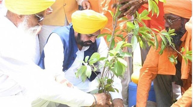 ਮਾਨ ਸਰਕਾਰ ਦਾ ਗ੍ਰੀਨਿੰਗ ਪੰਜਾਬ ਮਿਸ਼ਨ : ਰਿਕਾਰਡ 12,55,700 ਰੁੱਖ ਲਗਾਉਣ ਨਾਲ ਪੰਜਾਬ ਬਣਿਆ ‘ਹਰਿਆਲੀ ਜ਼ੋਨ, ਸੂਬੇ ਦੀ ਸਭ ਤੋਂ ਵੱਡੀ ਵਾਤਾਵਰਣ ਪ੍ਰਾਪਤੀ