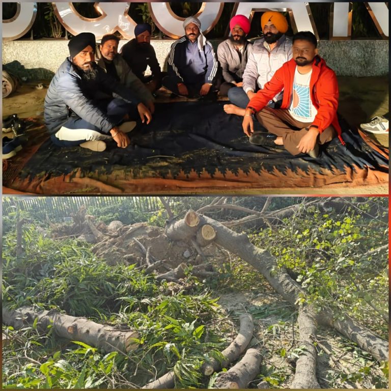Bathinda ਦੀ Main Road ਤੋਂ ਪੁਰਾਣੇ ਦਰੱਖਤ ਕੱਟਣ ਦਾ ਮਾਮਲਾ ਭਖਿਆ; ਲੱਗਿਆ ਧਰਨਾ, ਹੋਵੇਗੀ ਸੜਕ ਜਾਮ