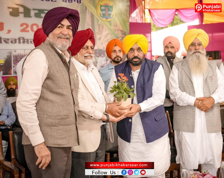 ‘ਏ.ਆਈ. ਕ੍ਰਾਂਤੀ’ ਕਿਸਾਨਾਂ ਦੀ ਆਮਦਨ ਵਿੱਚ ਵਾਧਾ ਕਰਕੇ ਪੰਜਾਬ ਦੇ ਭਵਿੱਖ ਨੂੰ ਸੁਰੱਖਿਅਤ ਕਰੇਗੀ: ਭਗਵੰਤ ਮਾਨ