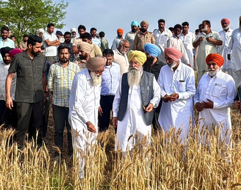 ਖੇਤੀਬਾੜੀ ਵਿਭਾਗ ਦੇ 500 ਤੋਂ ਵੱਧ ਮੁਲਾਜ਼ਮ ਫਸਲਾਂ ਦੇ ਨੁਕਸਾਨ ਦਾ ਲੈਣਗੇ ਜਾਇਜ਼ਾ: ਗੁਰਮੀਤ ਸਿੰਘ ਖੁੱਡੀਆਂ