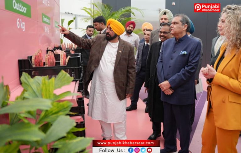 ਮੁੱਖ ਮੰਤਰੀ ਦੇ ਯਤਨਾਂ ਨੂੰ ਬੂਰ ਪੈਣਾ ਸ਼ੁਰੂ, ਪੰਜਾਬ ਸਰਕਾਰ ਵਰਲਡ ਹਾਰਟੀ ਸੈਂਟਰ ਈਕੋਸਿਸਟਮ ਦੀ ਤਰਜ਼ ‘ਤੇ ਬਾਗਬਾਨੀ ਅਨੁਭਵ ਅਤੇ ਸਿਖਲਾਈ ਕੇਂਦਰ ਕਰੇਗੀ ਸਥਾਪਤ
