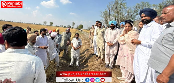 Harsimrat Kaur Badal ਨੇ ਬਠਿੰਡਾ ‘ਚ ਗੜ੍ਹੇਮਾਰੀ ਕਾਰਨ ਕਣਕ ਦੀ ਫਸਲ ਦੇ ਹੋਏ ਨੁਕਸਾਨ ਦਾ ਲਿਆ ਜਾਇਜ਼ਾ