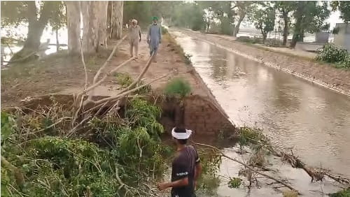 Bathinda ‘ਚ ਕੋਟਭਾਈ ਰਜਬਾਹਾ ਟੁੱਟਿਆ; ਸੈਂਕੜੇ ਏਕੜ ਜਮੀਨ ਪਾਣੀ ‘ਚ ਡੁੱਬੀ