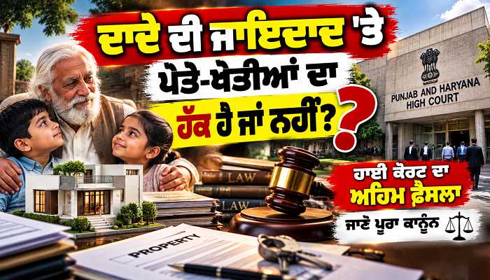 ਦਾਦੇ ਦੀ ਜਾਇਦਾਦ ’ਤੇ ਪੋਤੇ-ਪੋਤੀਆਂ ਦਾ ਹੱਕ ਹੈ ਜਾਂ ਨਹੀਂ? ਹਾਈ ਕੋਰਟ ਦਾ ਅਹਿਮ ਫ਼ੈਸਲਾ, ਜਾਣੋ ਪੂਰਾ ਕਾਨੂੰਨ